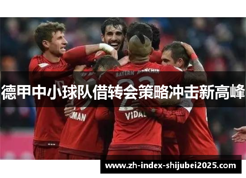 德甲中小球队借转会策略冲击新高峰